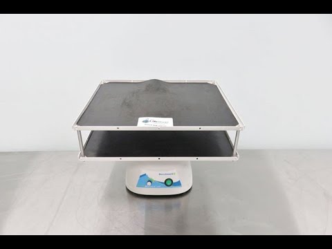 BENCHMARK BENCHROCKER 2D SEE SAW - Variable Speed | 115V | 14x12 Platform | SureTemp Incubator