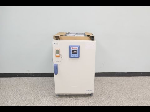 Thermo Heratherm Incubator IGS180 ID 17620