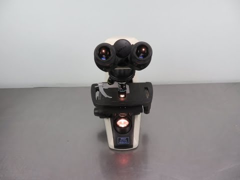 Nikon Eclipse E200 Microscope