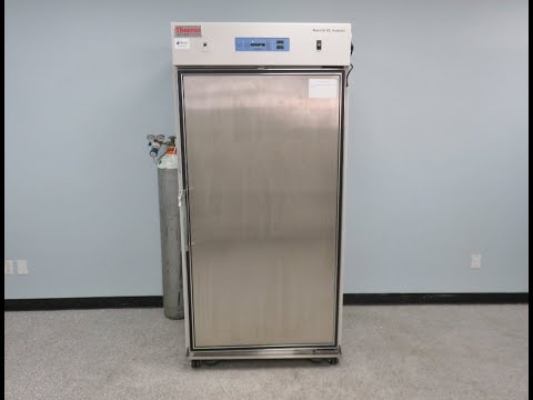 Thermo 3950 Reach in CO2 Incubator Video ID 19702