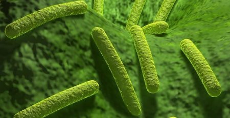 Bacterial DNA in Human Genomes, A new study finds strong evidence that bacteria can transfer genes into human genomes, especially in cancer cells, TheLabWorldGroup, TheScientist