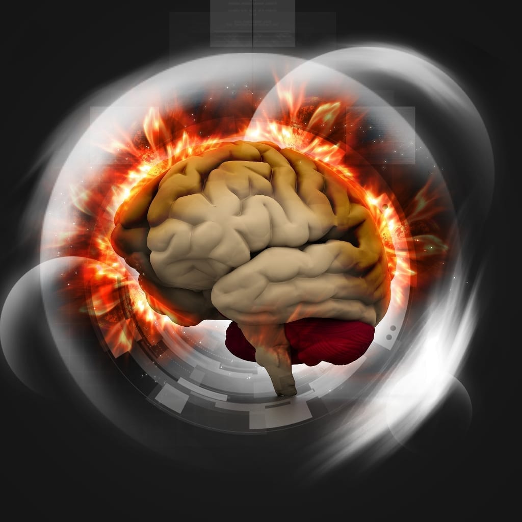 Cartoon rendition of the brain