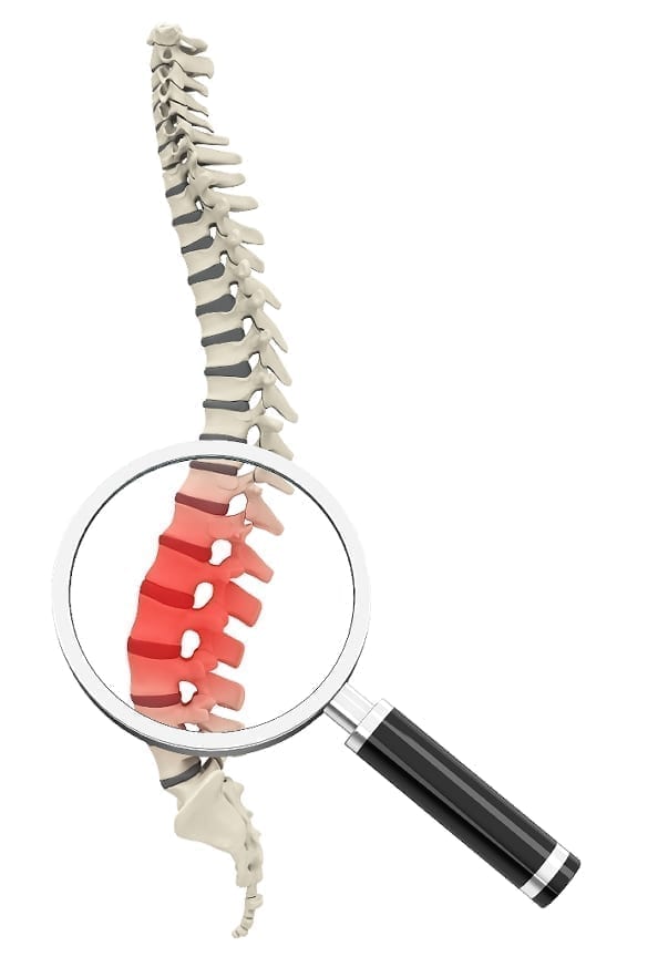 Spinal Cord Prosthetic Replacement, Spinal Cord R&D, Spinal Cord Treatment, TheLabWorldGroup