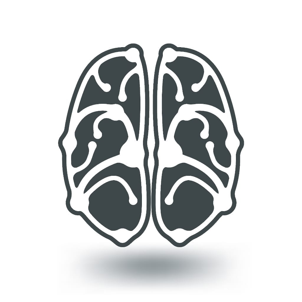 Cartoon rendering of the brain and its synapses