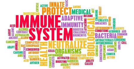 Word Cloud about Immune Systems