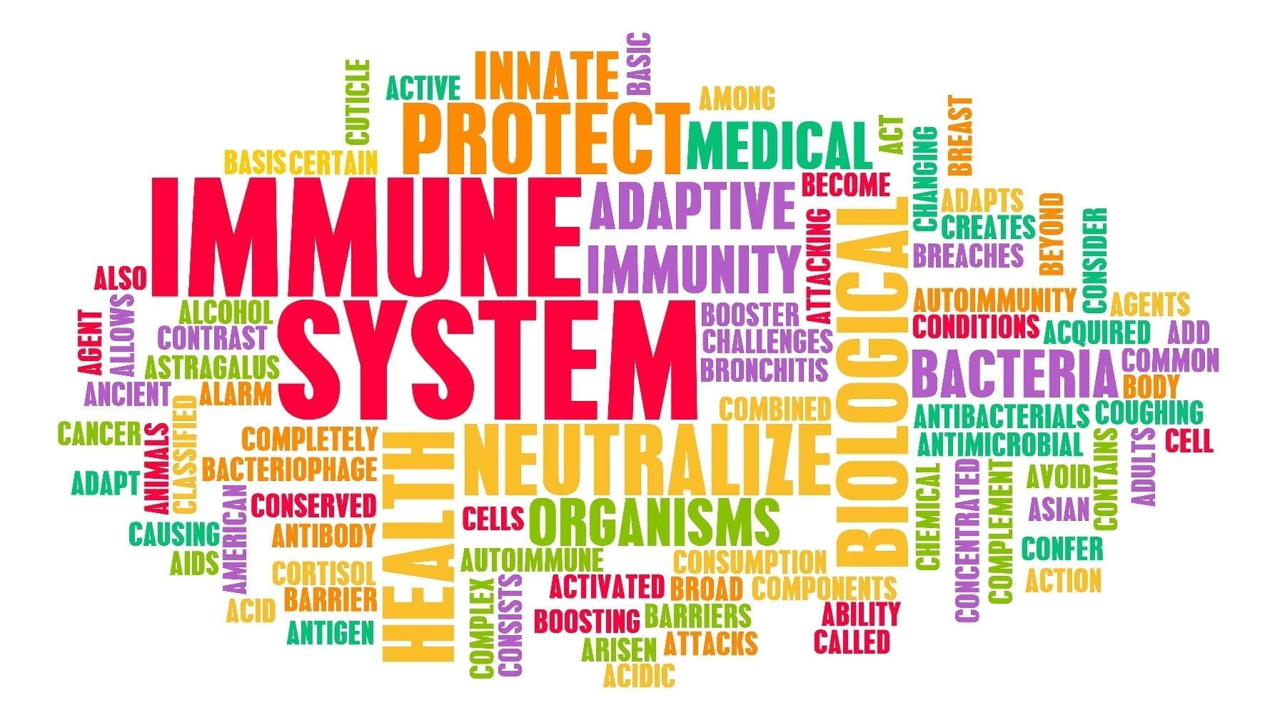 Word Cloud about Immune Systems