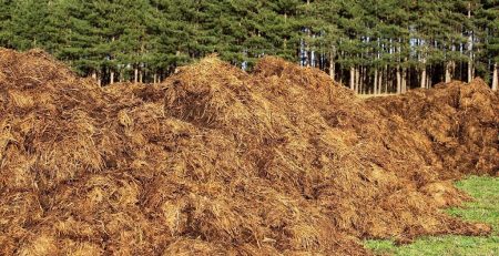 Manure left to naturally compost