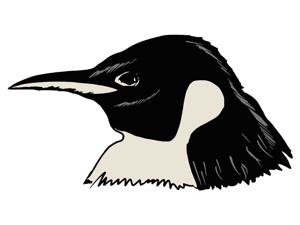 Draw rendition of a penguin head