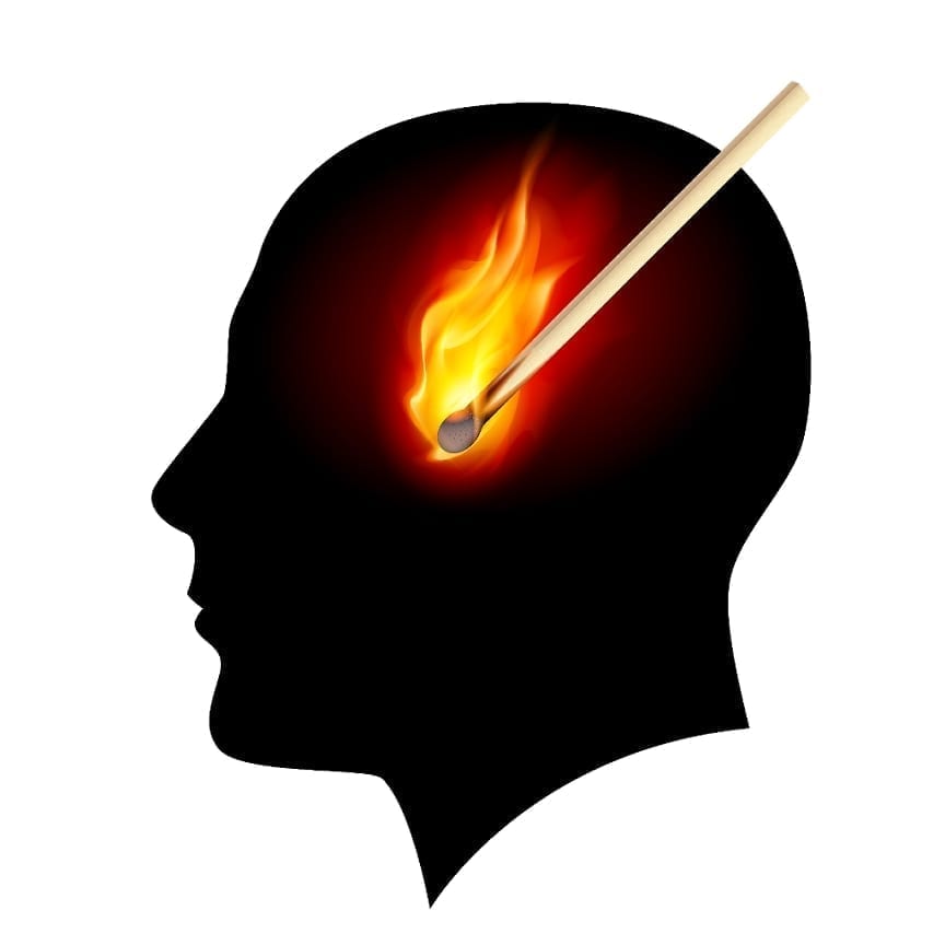 Brain on Fire by Susannah Cahalan Review