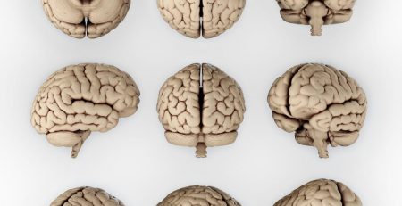 Johns Hopkins Grows "Mini-Brains" for Lab Testing 