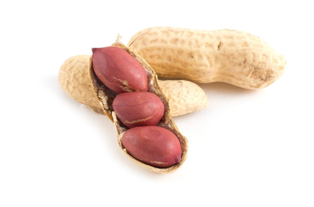 Two peanuts, one with a cracked shell