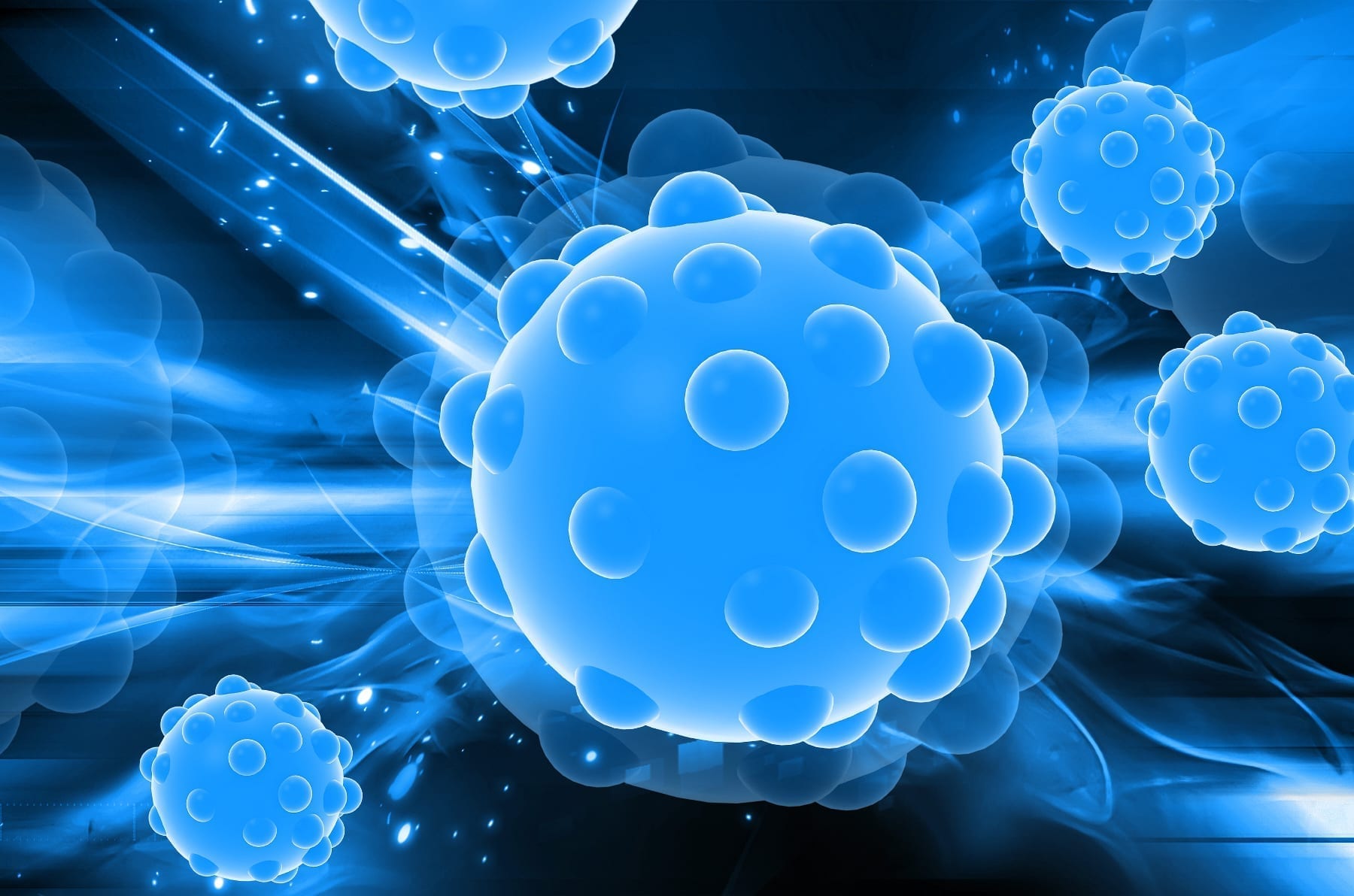 Representation of Bacteria and Chaotic Flow