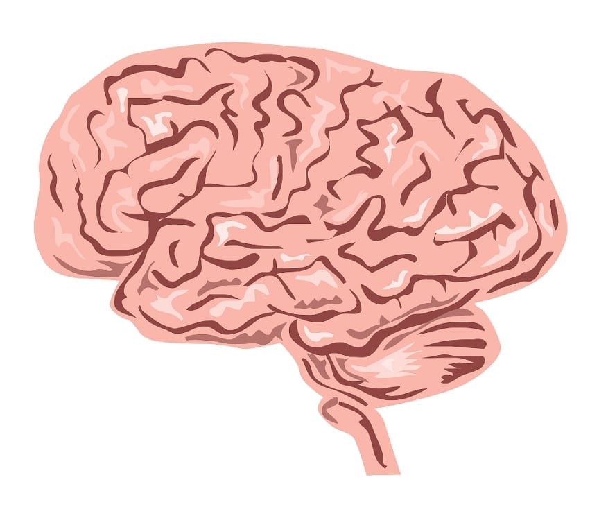 new way to see brain without mri, this will help scientist view the brain in more depth, this could explain why certain diseases exist