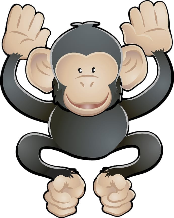 in research studies chimps have quizlet