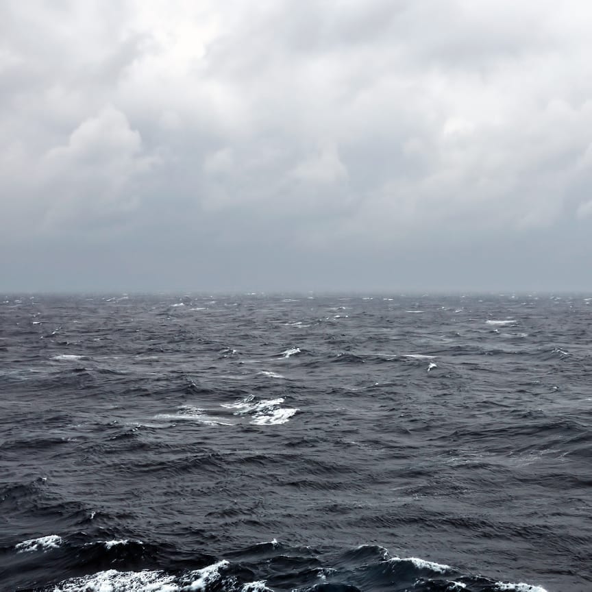 Supergiant Fish have been spotted at bottom of the Pacific Ocean