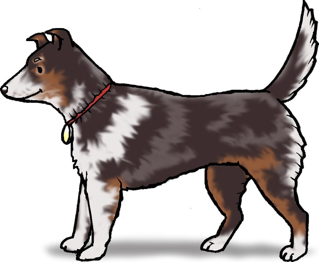 Cartoon image of dog