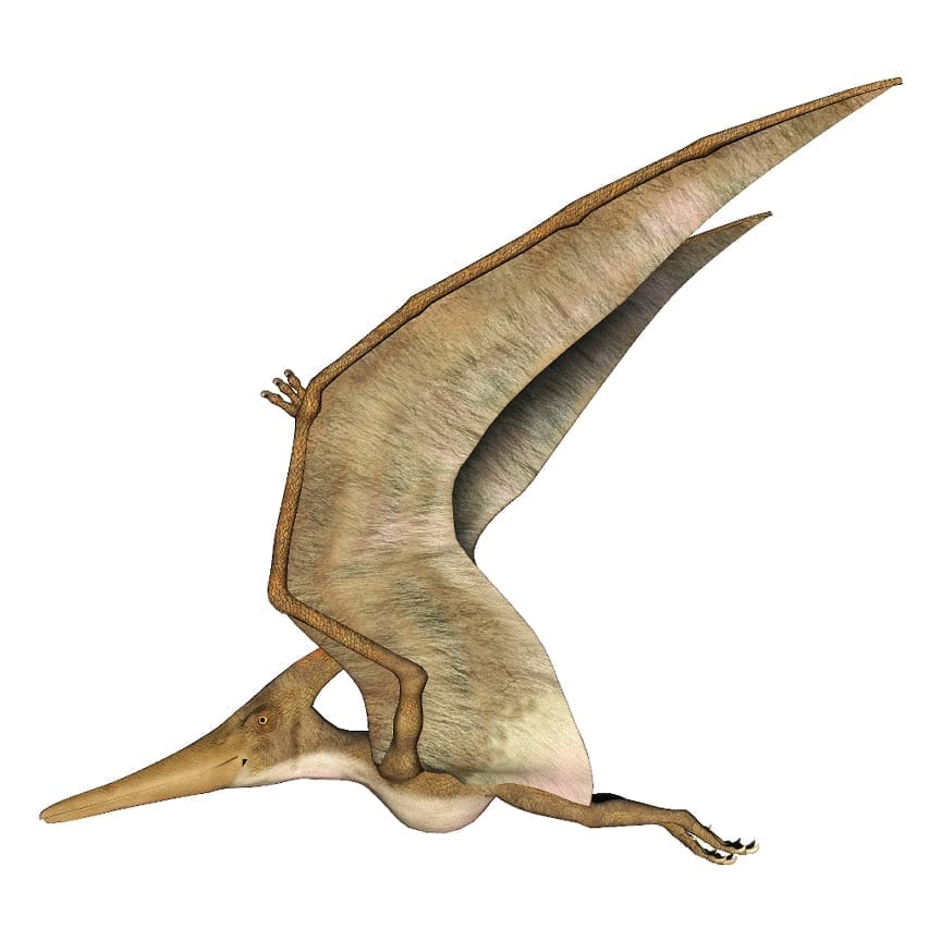 flying dinosaurs types