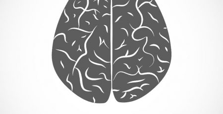 wrinkles in our brain have different functions, they could link to different disorders, wrinkles in our brain have different functions