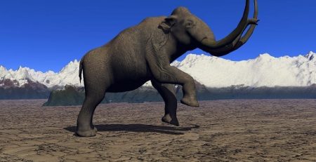 Scientists have successfully added Mammoth DNA to an Elephant