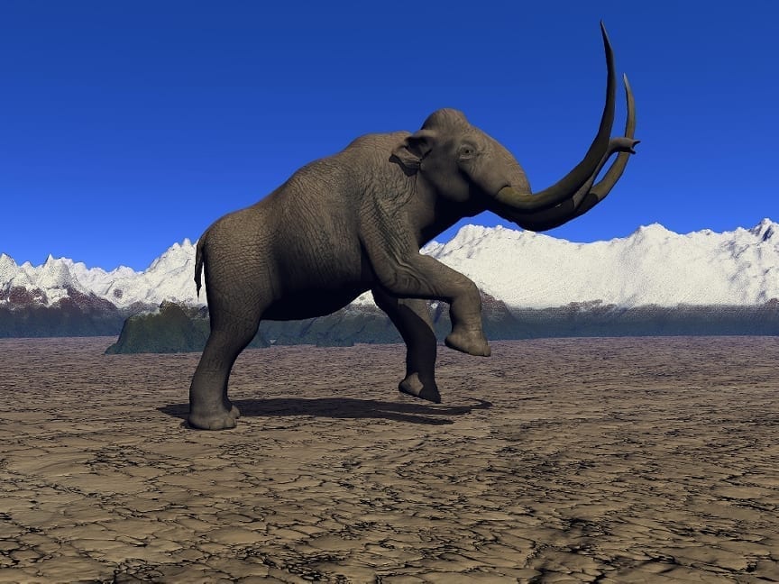 Scientists have successfully added Mammoth DNA to an Elephant