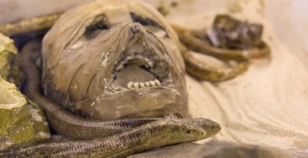 mummy buried with weed, most likely to ease pain of cancer, important figure throughout life