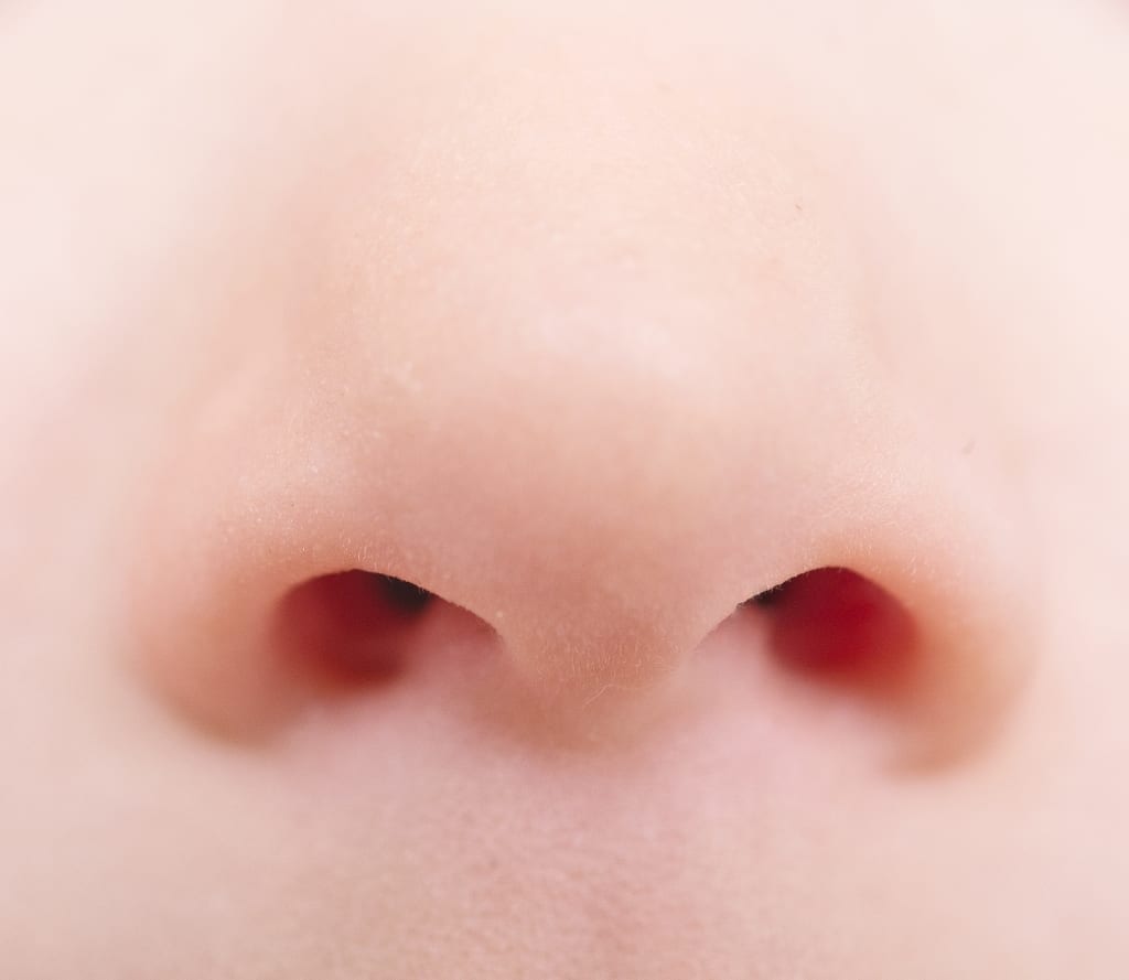 Close up of human nose