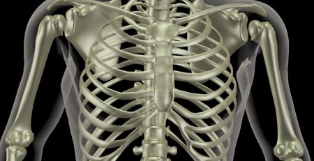CGI generated image of skeleton 