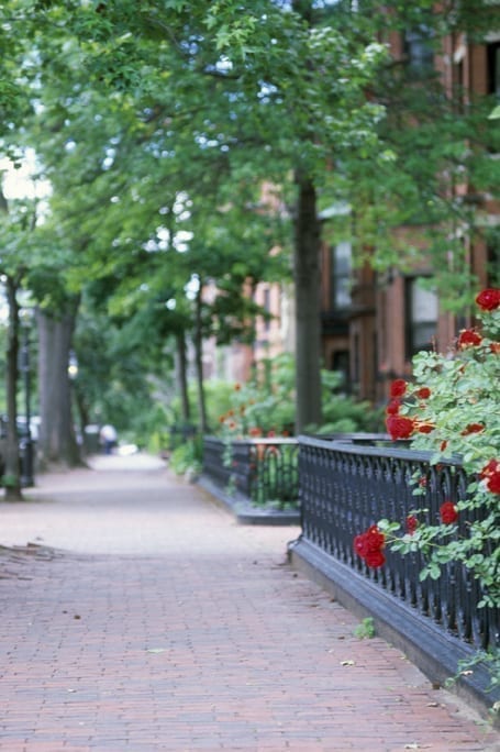 Microbiologist Hendrik Jonker wanted to fix cracked sidewalks in a bigger way