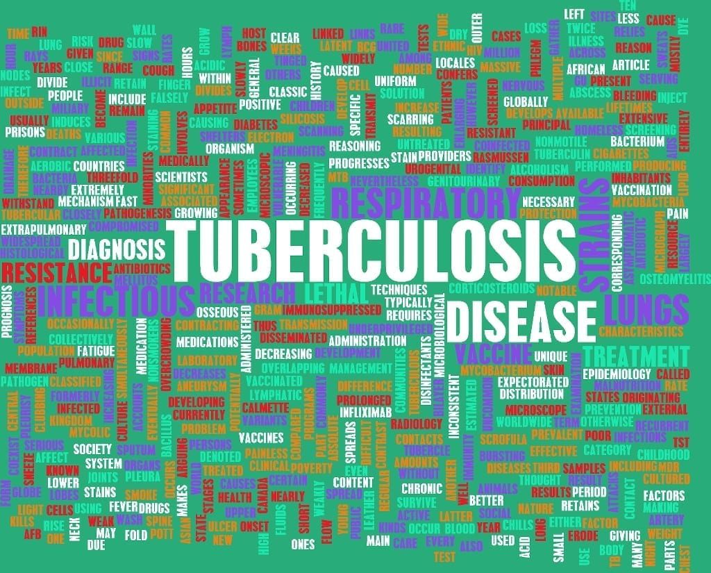 Combination Therapy Shows Promise for Treating TB