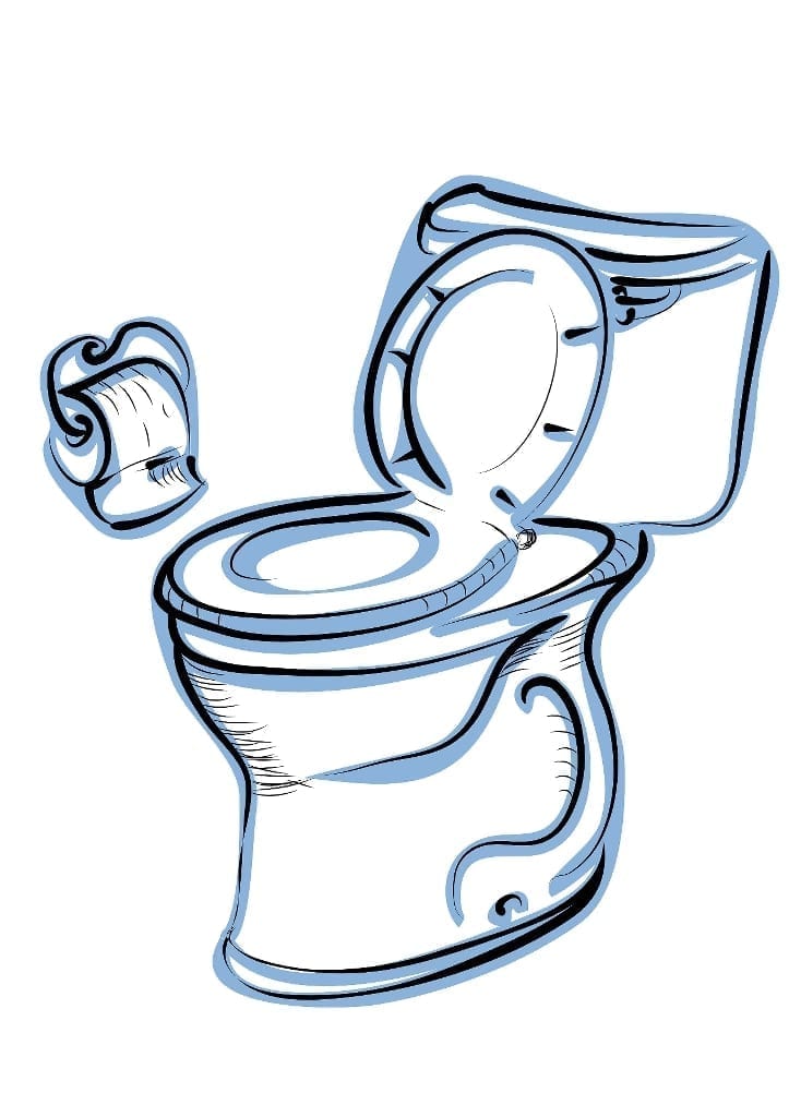 Flushing a Toilet Could Now Create Biofuel