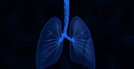 Lungs found to be able to produce blood