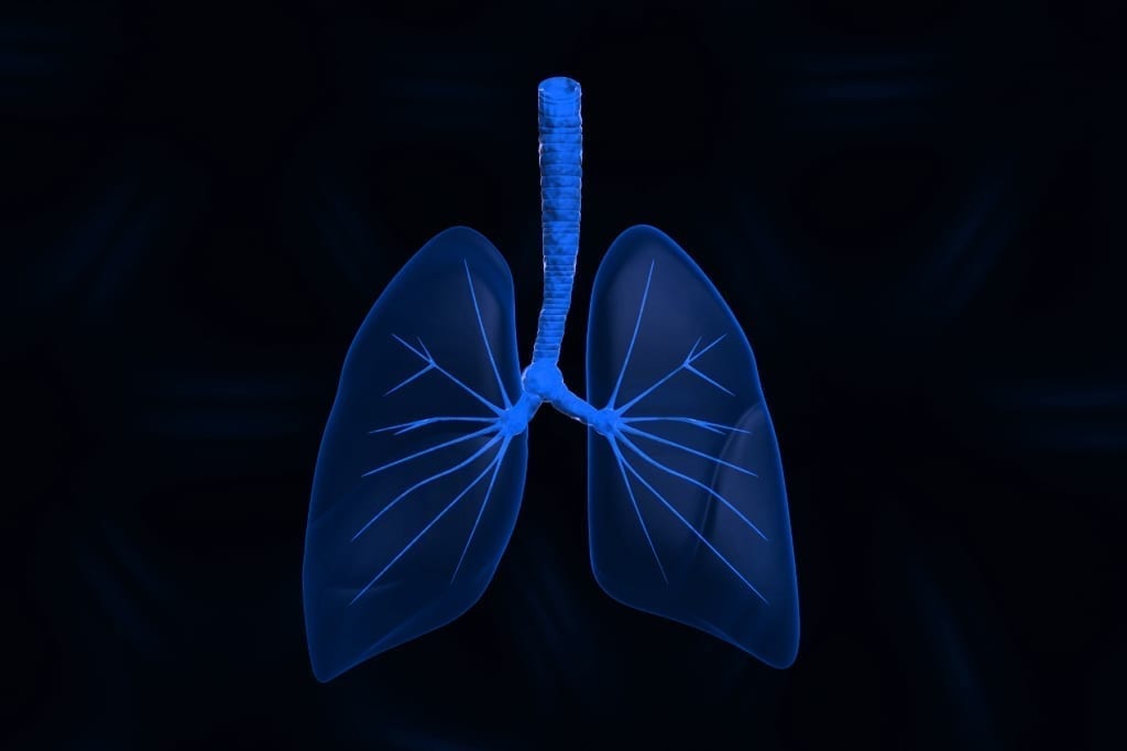 Lungs found to be able to produce blood