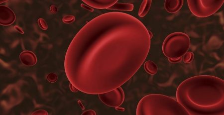 Artificial blood may soon be mass produced 