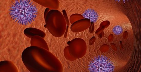 Four New Types of Blood Cells Discovered