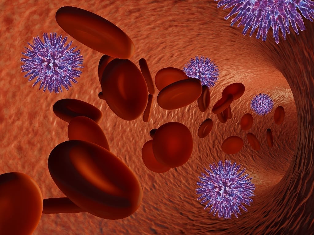 Four New Types of Blood Cells Discovered