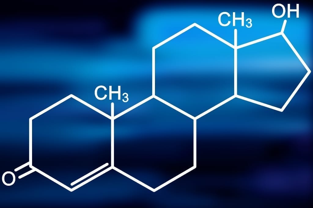 Caltech finds testosterone makes men less likely to questions impulses