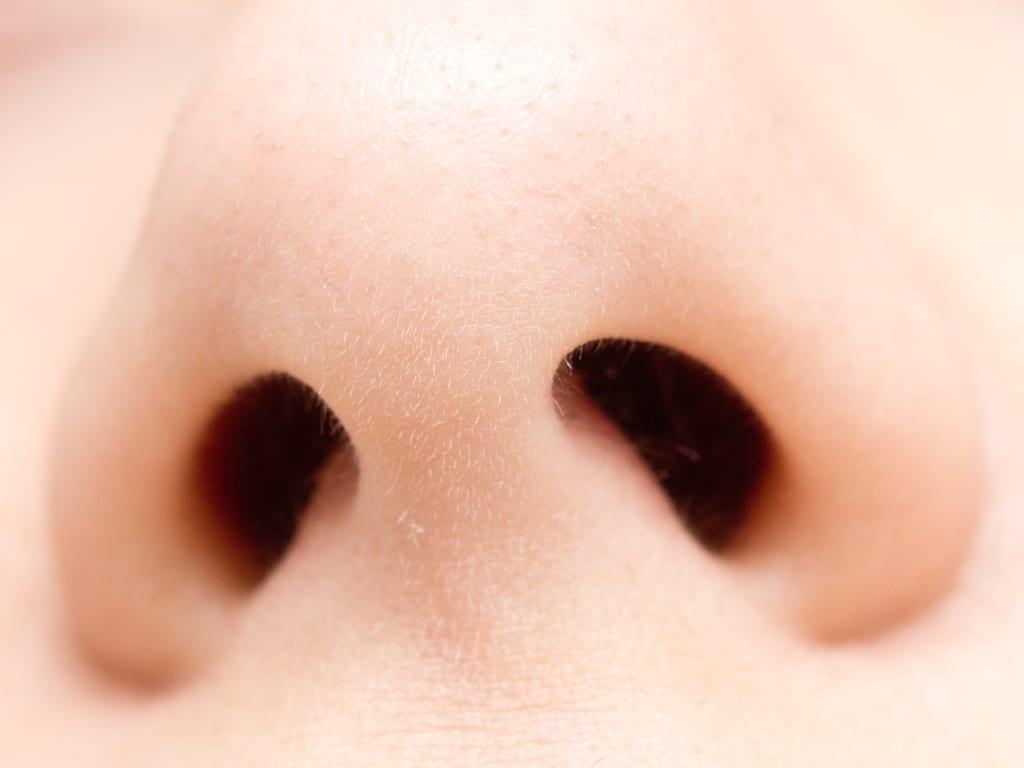 Human sense of smell found to be comparable to other animals