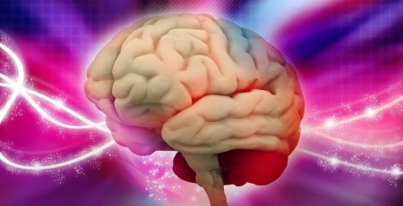 Brain will "eat itself" when sleep deprived