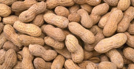 Researchers Continue to Make Progress Toward Curing Peanut Allergies 