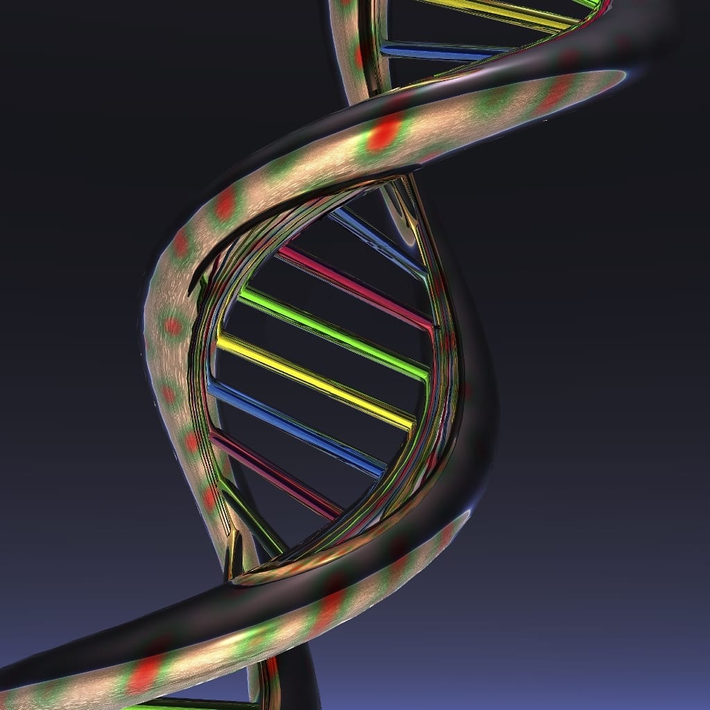 Genetic Code Edited Inside the Adult Body for the First Time