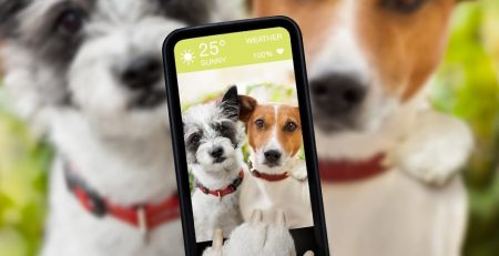 New technology may soon lead to our pets communicating in English.