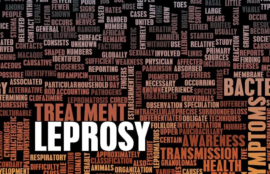 Mycobacterium leprae, aka Leprosy, has long been on the epidemiological back-burner, but recent findings of a genetic mutation suggest it may be time to pay attention to our ancient fiend.