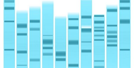 Saving money in any laboratory is a common goal, however, in a genomic testing laboratory, there are three main cost drivers: retests, downtime, and mistakes