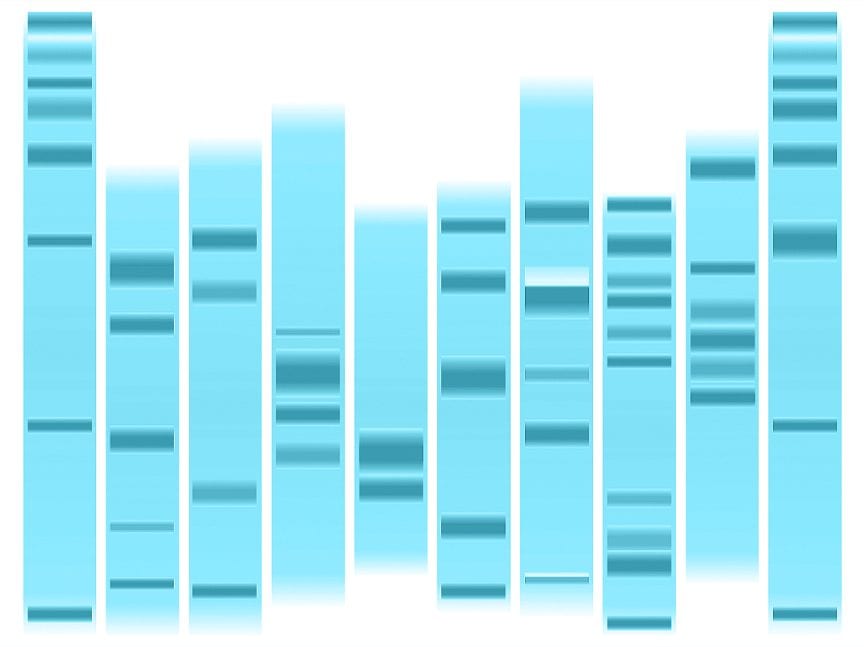 Saving money in any laboratory is a common goal, however, in a genomic testing laboratory, there are three main cost drivers: retests, downtime, and mistakes