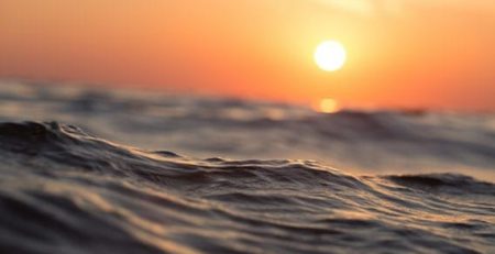 ocean heat waves are “happening far more frequently than they did last century and are harming marine life