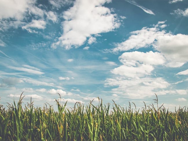 It may seem counterintuitive, but in a proposal recently published in Nature Sustainability Stanford University scientists argue that one way to combat the growing global warming crisis is to chemically convert methane to carbon dioxide.