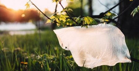 Mexican Scientist Develops New Biodegradable Plastic