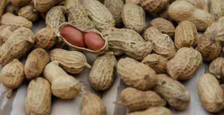 New Injection Capable of Stopping Peanut Allergies