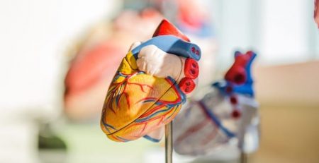 New Approach May Extend Viability of Heart Transplants