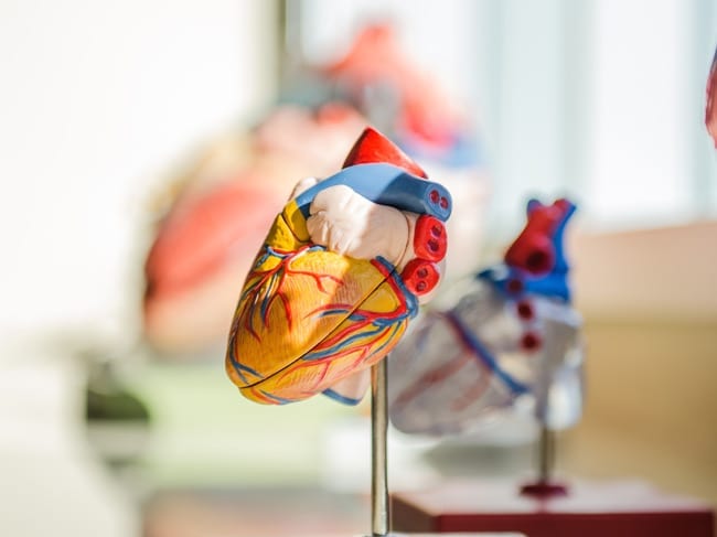 New Approach May Extend Viability of Heart Transplants